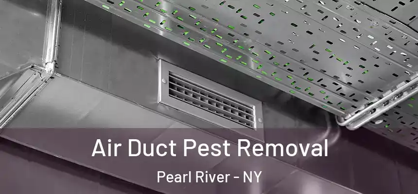 Air Duct Pest Removal Pearl River - NY