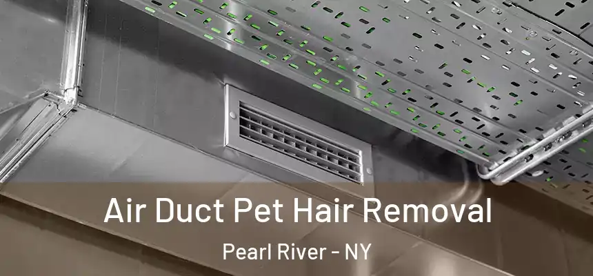 Air Duct Pet Hair Removal Pearl River - NY