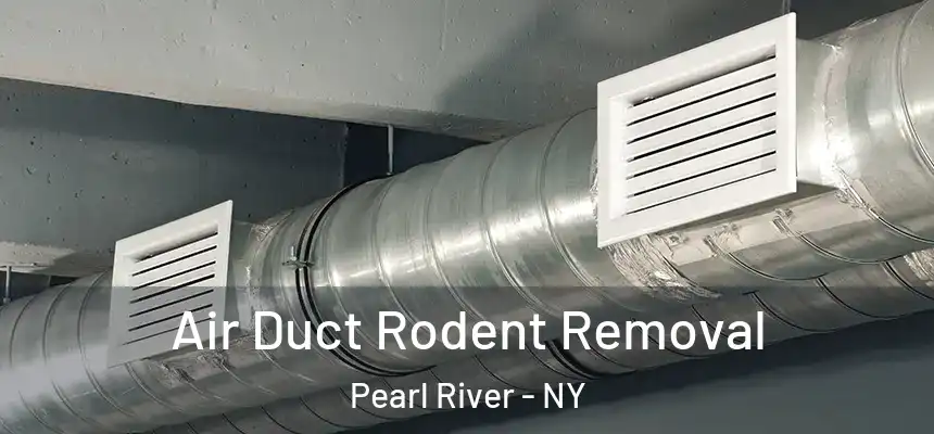 Air Duct Rodent Removal Pearl River - NY