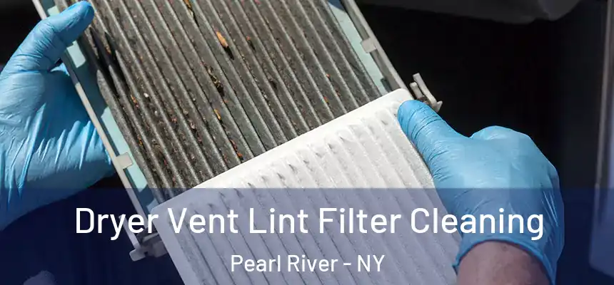  Dryer Vent Lint Filter Cleaning Pearl River - NY