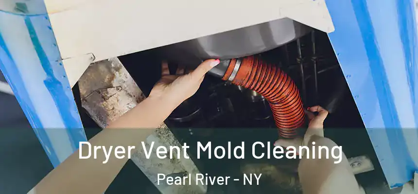 Dryer Vent Mold Cleaning Pearl River - NY