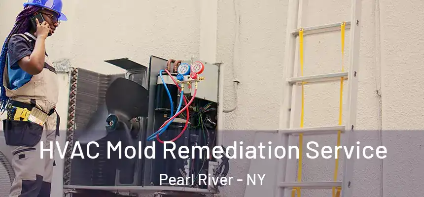  HVAC Mold Remediation Service Pearl River - NY