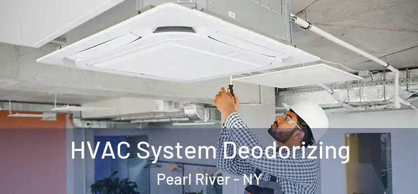 HVAC System Deodorizing Pearl River - NY