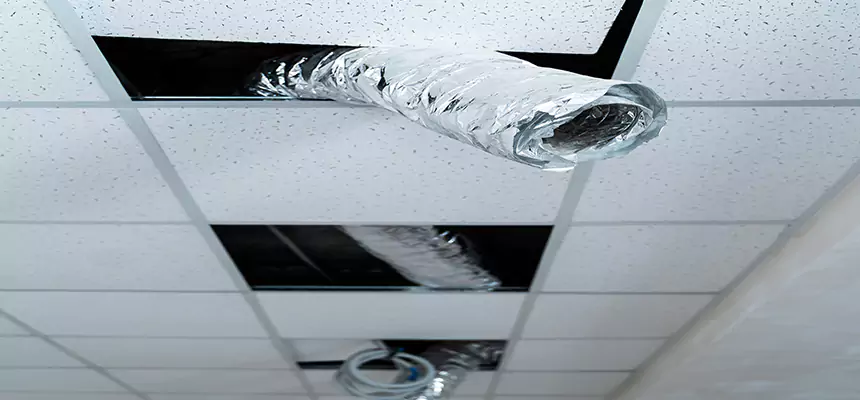 Affordable HVAC Sanitizing After Pest Removal in Pearl River