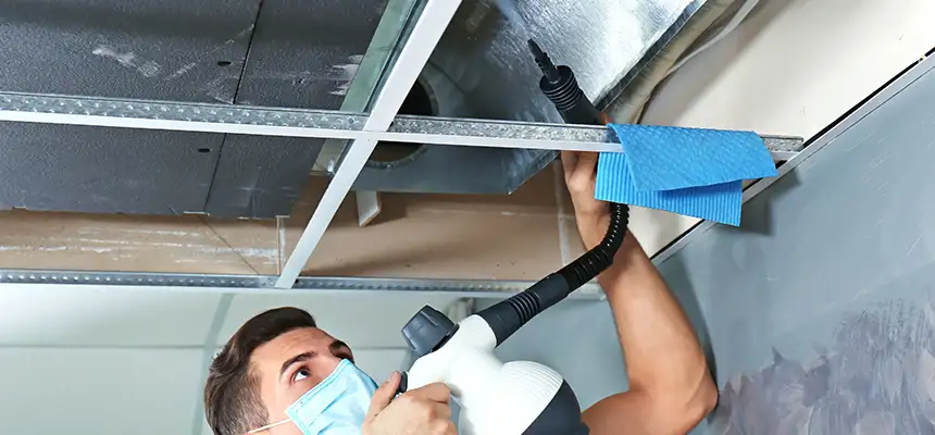 Our Air Duct Rodent Removal Services in Pearl River, NY