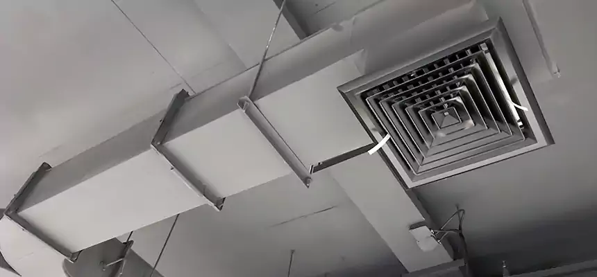 Restorative Allergy Relief Vent Cleaning – Coil, Blower & Housing Detail in Pearl River