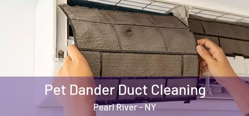 Pet Dander Duct Cleaning Pearl River - NY