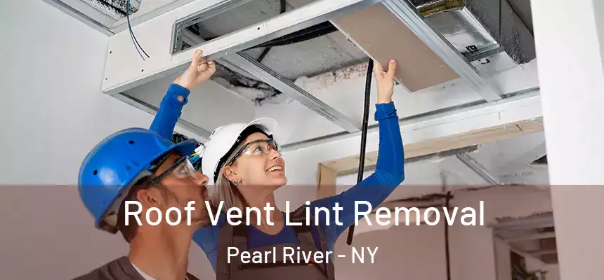 Roof Vent Lint Removal Pearl River - NY