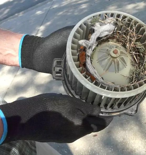 About Air Duct Rat Removal in Pearl River, NY