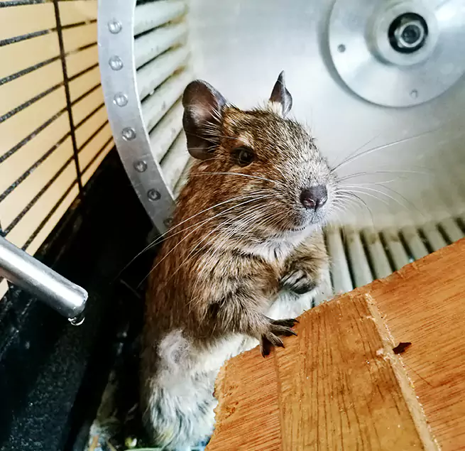 Why Homeowners & Businesses Trust Us Pearl River, NY